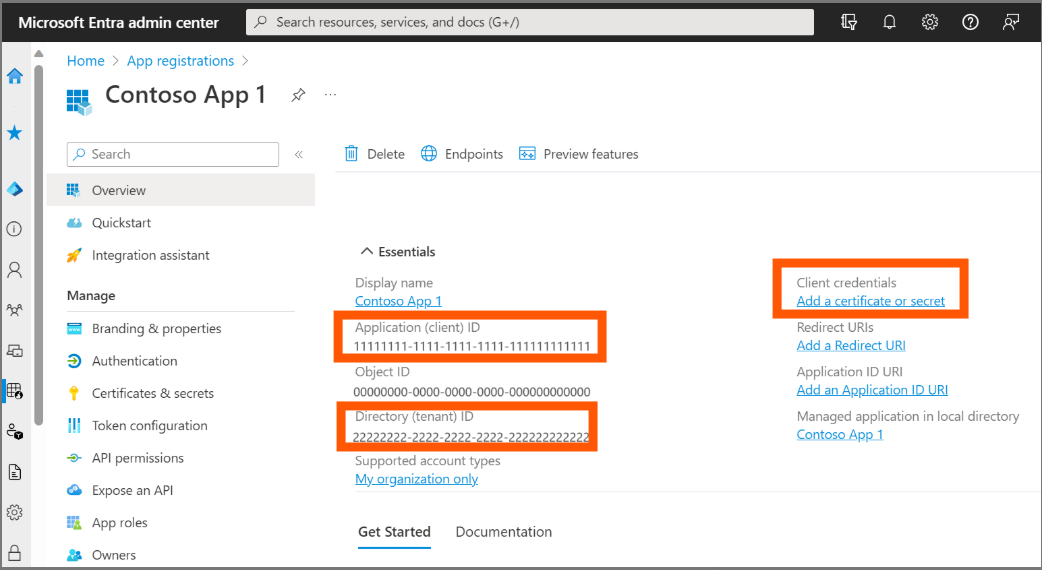 Application Overview - Client ID and Tenant ID